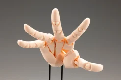 Kotobukiya ARTIST SUPPORT ITEM Takahiro Kagami HAND MODEL/L PALE ORANGE 1/1 Action Figure