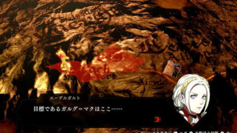 Nintendo Fire Emblem Warriors Three Hopes TREASURE BOX Limited Edition JAPAN