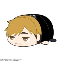 Max Limited Plush Toy*Haikyu!! PoteKoro Mascot Atsumu Miya Big 3 C Plush JAPAN OFFICIAL