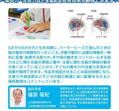 Kawada Pokemon Perler Beads Multi-Set Lots of Pokemon JAPAN OFFICIAL