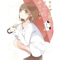 Aniplex Rascal Does Not Dream of a Sister Venturing Out Blu-ray CD JAPAN OFFICIAL