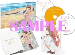 Aniplex Rascal Does Not Dream of a Sister Venturing Out Blu-ray CD JAPAN OFFICIAL