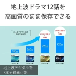 Sony Consumer Electronics*Blu-ray BD-RE XL BDXL 3D Printable Disc 10 Pack 10BNE3VEPS2 JAPAN OFFICIAL