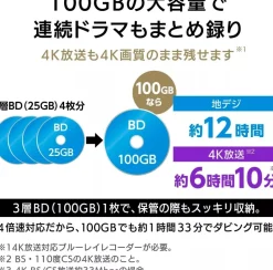 Victor M-DISC Long-Term Blu-ray BD-R XL 100GB 10 Discs Printable JAPAN OFFICIAL